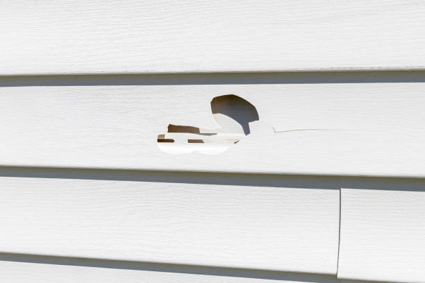 Best Custom Trim and Detailing for Siding  in Vaughn, WA