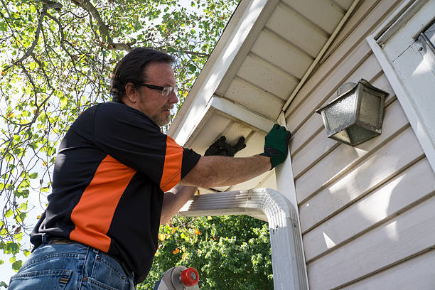 Best Brick Veneer Siding  in Vaughn, WA